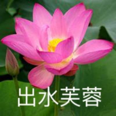 星舰指挥官战争与贸易手游下载